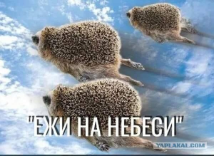 na-nebesi